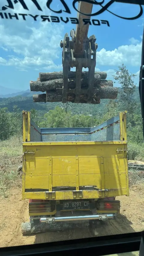 Alat penjepit di lengan ekskavator mengangkat batang kayu di atas bak truk kuning, dilihat dari kabin