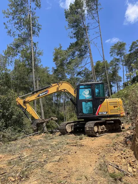 Ekskavator kuning di tanah terbuka di antara pepohonan tinggi